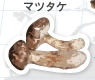 �ޥĥ���