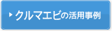 ����ޥ��Ӥγ��ѻ���