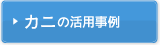 ���ˤγ��ѻ���